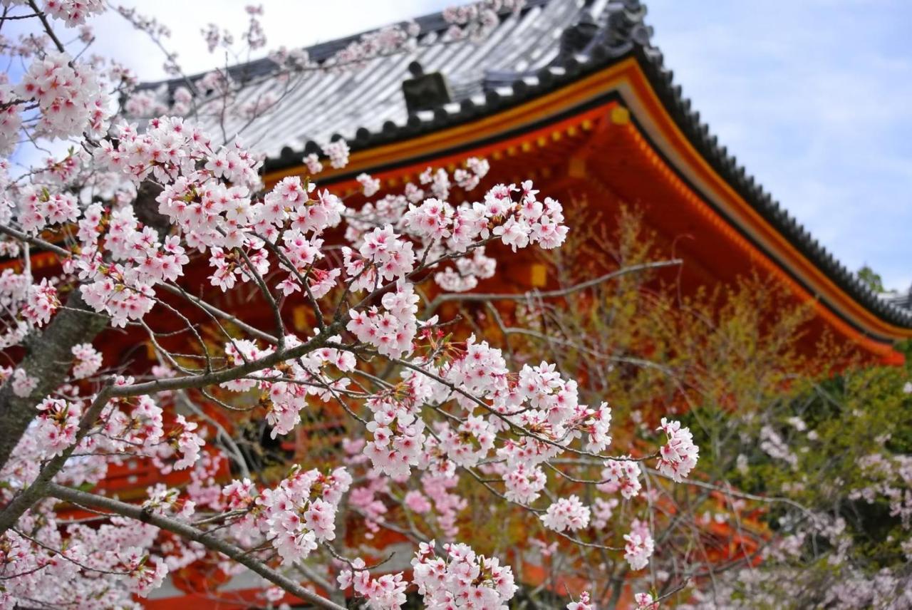 Stay Sakura Kyoto Gion North Екстер'єр фото
